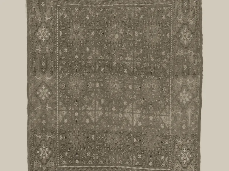 Tapis avant traitement (état initial)